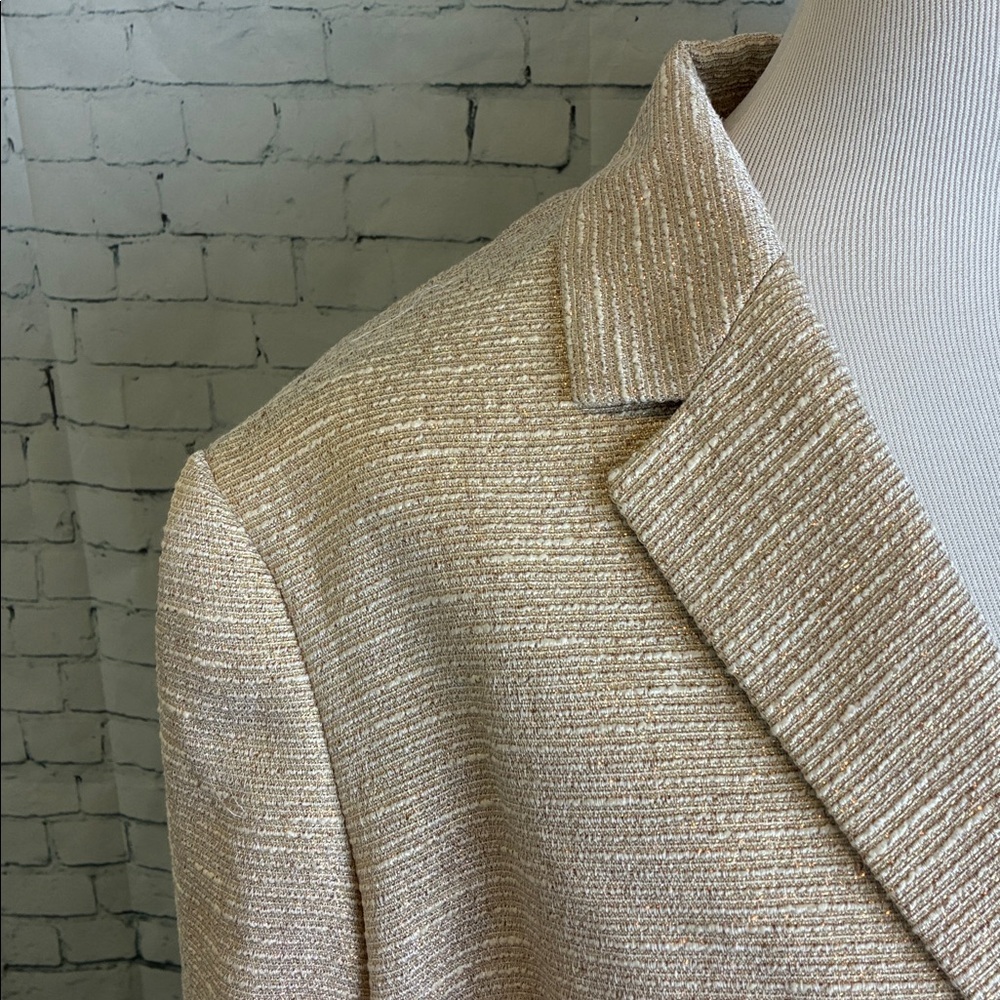 Albert Nipon NWT 2-Piece Skirt Suit Plus Sz 18 Cr… - image 6